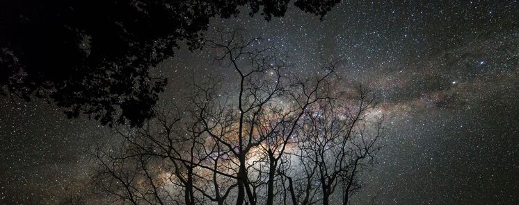 Las estrellas escondidas de Paraguay el corazn de Latinoamrica  