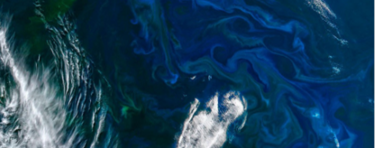 Islas Malvinas buscando estrellas en el fin del mundo  