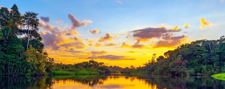 Estrellas en el Amazonas la regin ms biodiversa del mundo