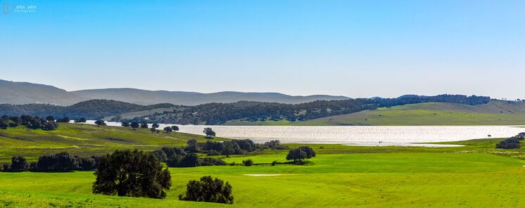 Parque Natural Los Alcornocales Un Cielo Estrellado en el Corazn de Cdiz