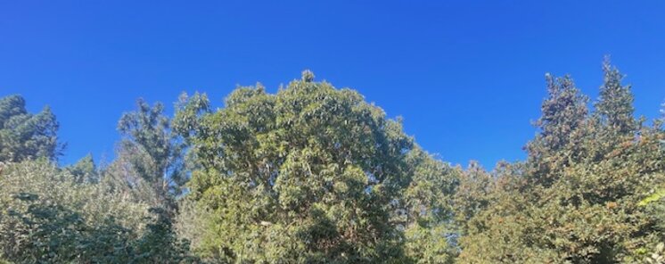 Vida sostenible y astroturismo Starlight en el Campamento Quimpi