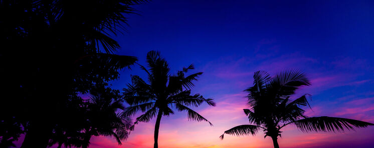 Naturaleza Biodiversidad y Estrellas Todo lo que puedes encontrar en Hait   Naturaleza Biodiversidad y Estrellas Todo lo que puedes encontrar en Hait