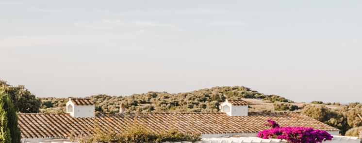 Morvedra Nou Tranquilidad Diseo y Estrellas en Menorca 