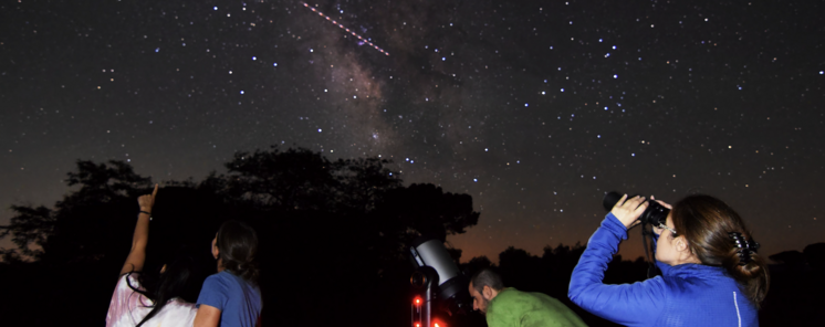 Cabaeros del susurro del bosque al abrazo del cielo nocturno