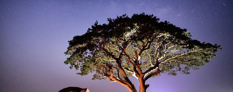 Samburu el cielo estrellado de Kenia que enamora a viajeros y comunidades locales Samburu el cielo estrellado de Kenia que enamora a viajeros y comunidades locales