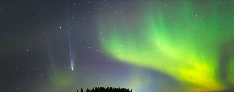 Las mejores fotos del cometa Lemmon que estn iluminando las redes