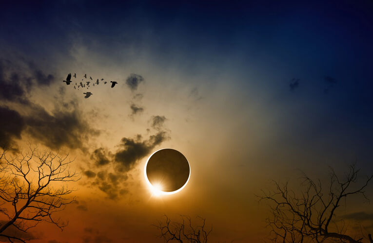 Cuando el Sol se apaga y la naturaleza habla as estudiar la ciencia el eclipse de 2026