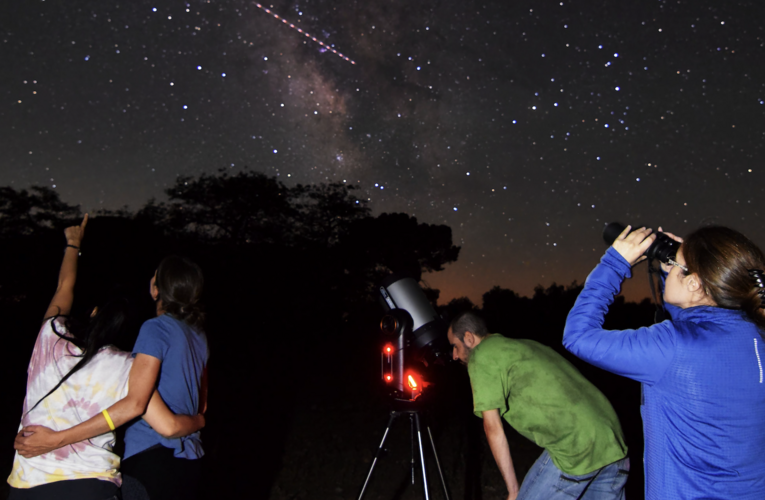 Cabaeros del susurro del bosque al abrazo del cielo nocturno