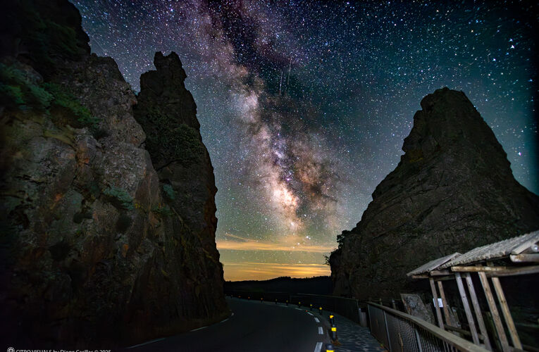 Monfrage Donde las aves vuelan de da y las estrellas brillan de noche