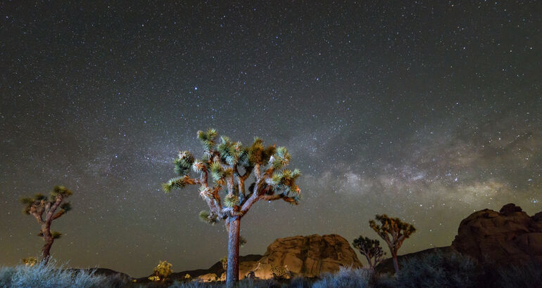 Por qu todos mirarn al cielo de Joshua Tree este fin de semana
