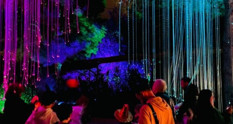 Astro Magic Lights vuelve en Verano a Bibo Park Ibiza