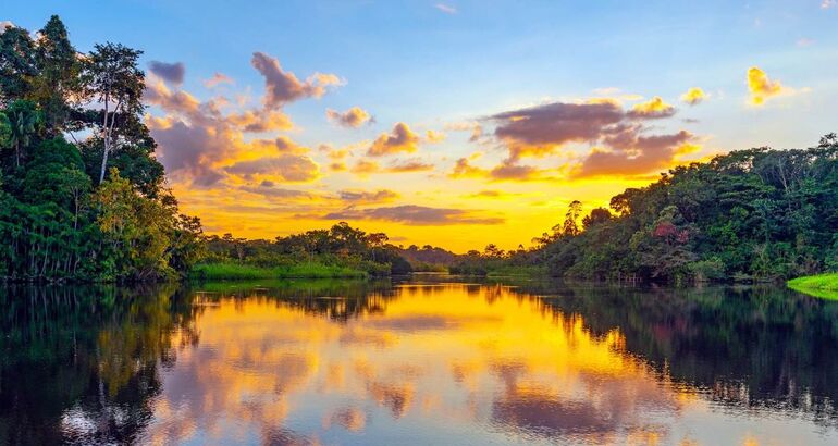 Estrellas en el Amazonas la regin ms biodiversa del mundo