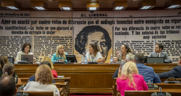 Histrica Jornada en el Senado para convertir el Cielo Nocturno en el ODS18