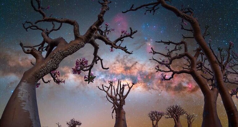 Dnde ver la Va Lctea este invierno en Latinoamrica y Europa gua para astrocuriosos