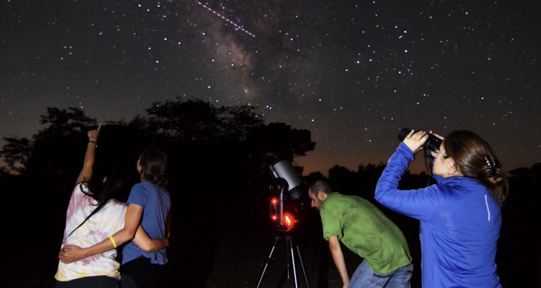 Cabaeros del susurro del bosque al abrazo del cielo nocturno