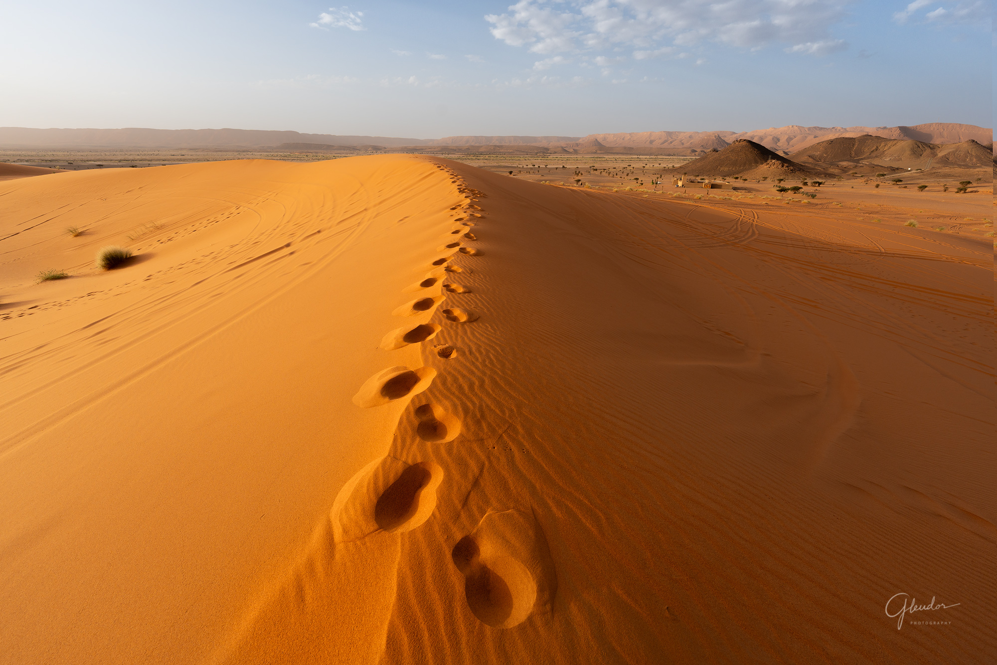 Ouzina Network Telescope