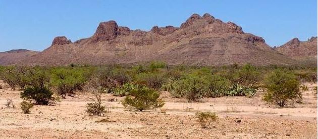 mapimí reserva méxico