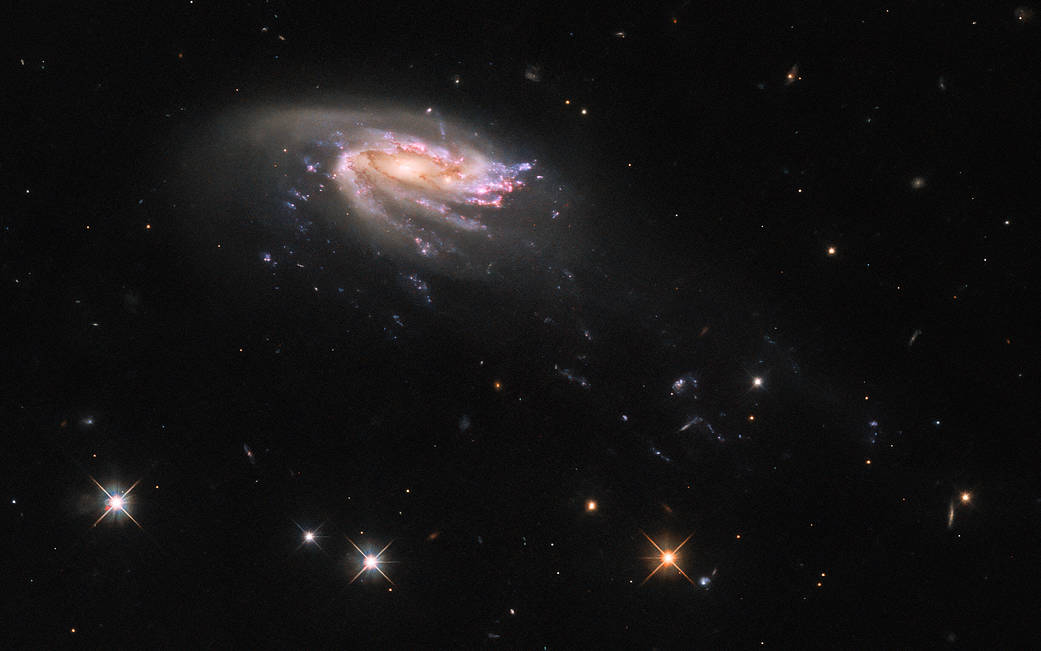  galaxia medusa JO206