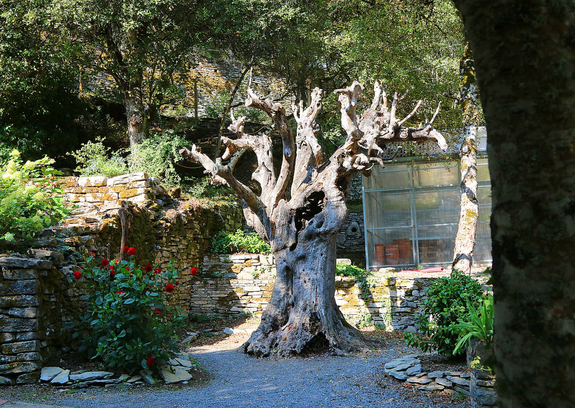 Jardín Botánico Santa Catalina 