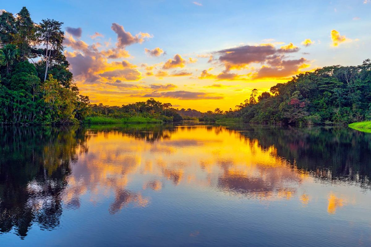 Amazonas