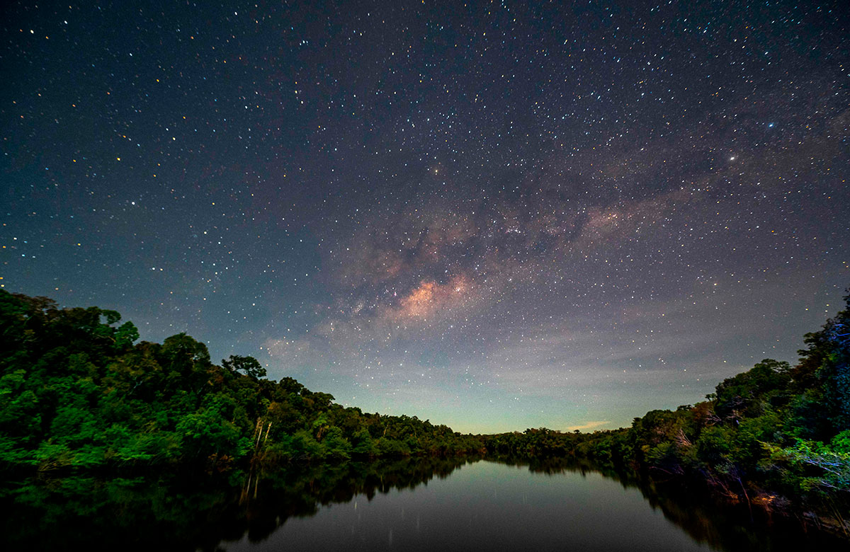 Estrellas en el Amazonas