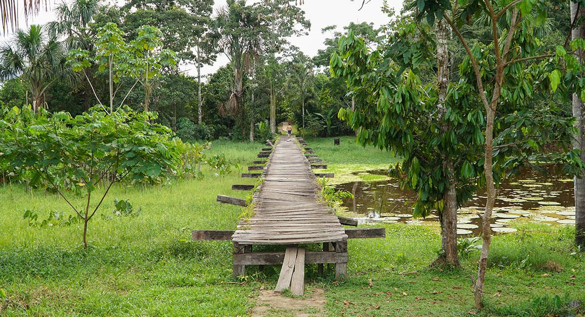 Parque Nacional Natural Amacayacu, Amazonas