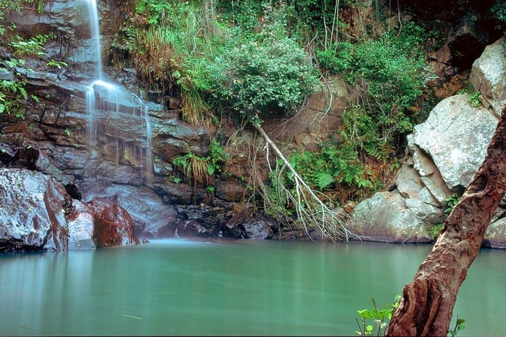 parque natural los alcornocales cádiz