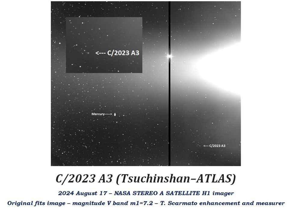 Cometa Tsuchinshan-atlas, STEREO