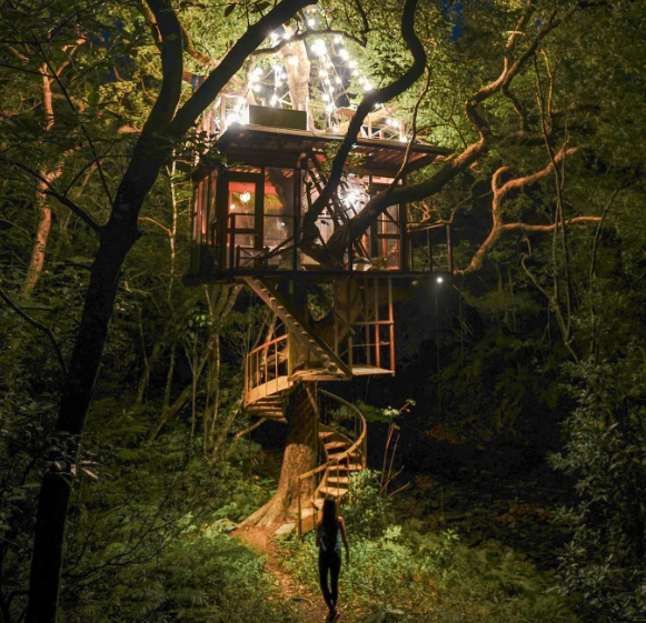 Treeful Treehouse , Japón