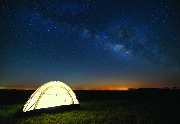 Kissimmee Prairie Preserve, Florida