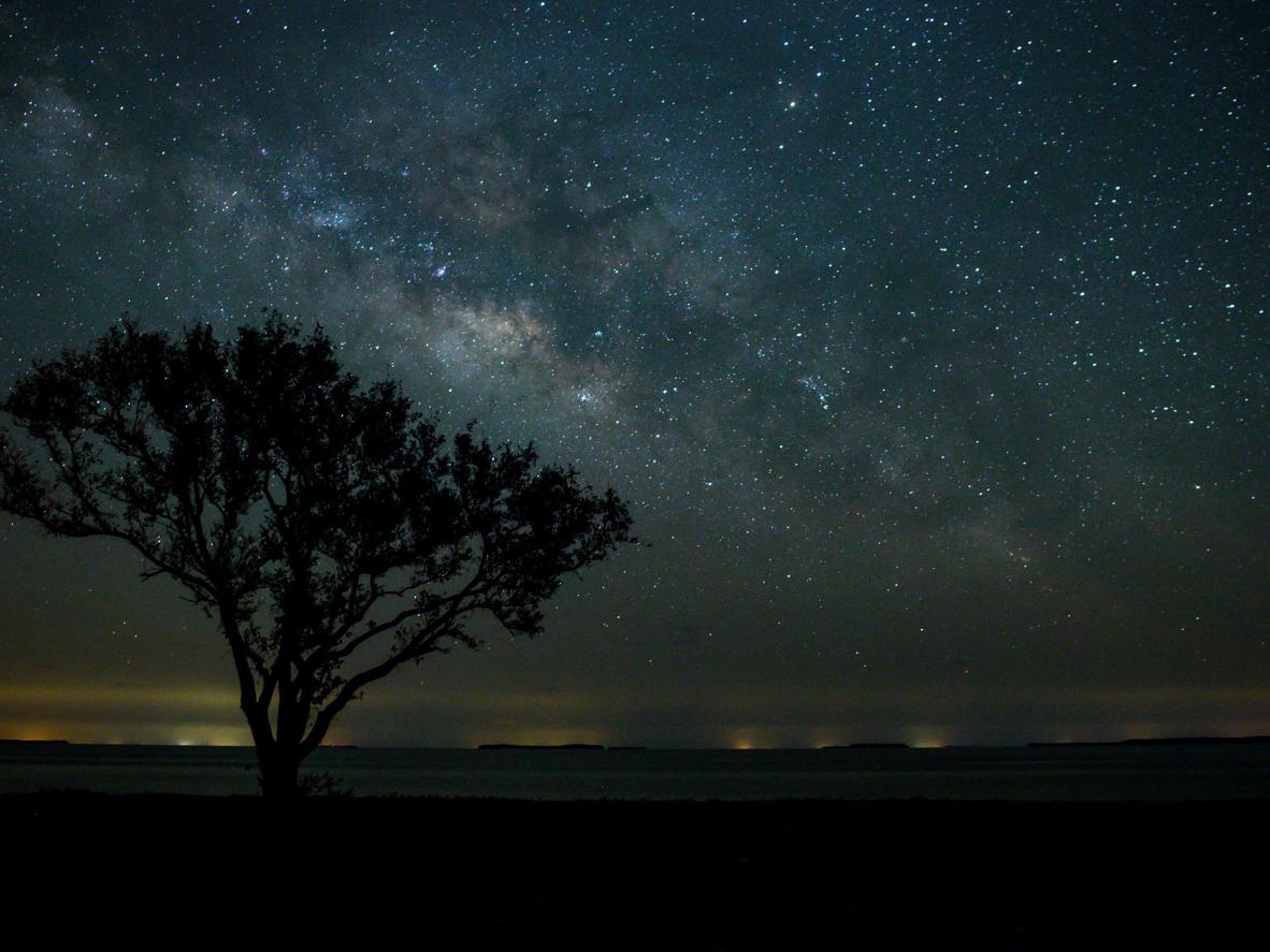 Big Cypress, Florida