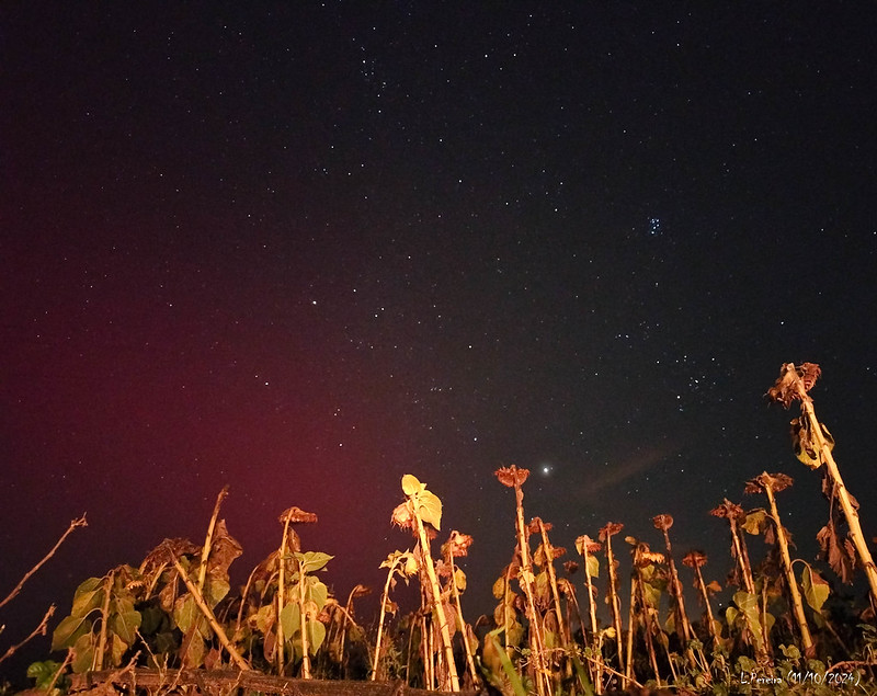 aurora boreal palencia