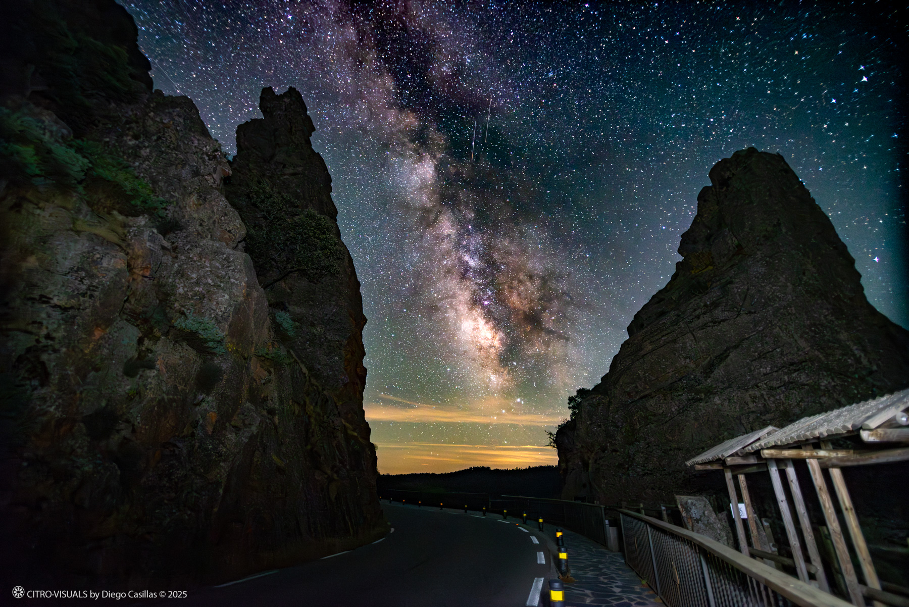 Monfragüe 2025 aves y estrellas