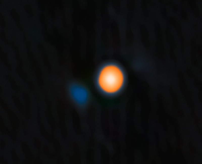 betelgeuse compañera