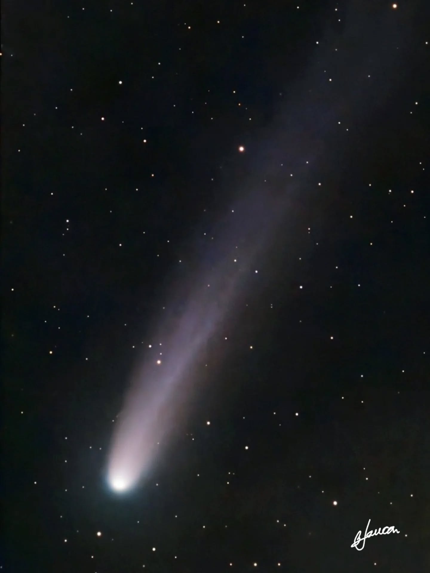 Cometa C/2025 A6 (Lemmon)_ blanca troughton luque